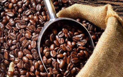  قهوه جامائیکا چیست؟ انواع و نحوه دم آوری (مقایسه طعم و عطر)