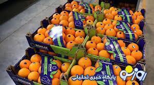  پرتقال‌های سمی ایران جمع آوری شدند؟