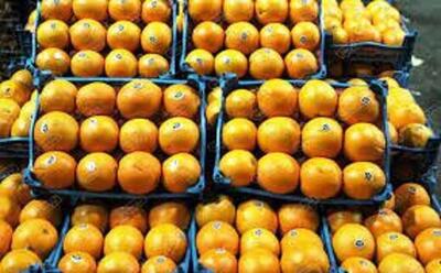 خرید پرتقال ایرانی ممنوع شد