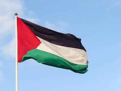  برافراشتن پرچم فلسطین در میدان مرکزی تورنتو + فیلم