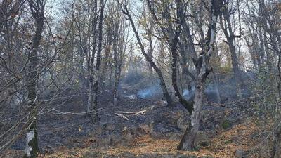  حریق در جنگل‌های پارک ملی گلستان خاموش شد