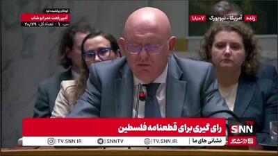  نماینده روسیه: امیدواریم صلح و ثباتی که آمریکا ادعا دارد اتفاق بیافتد، اما بعید می‌دانیم انجام شود