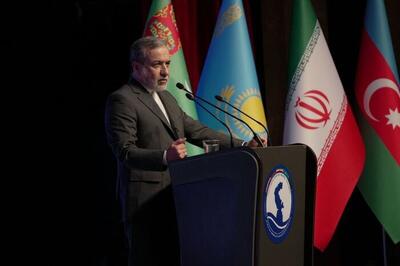  عراقچی: همسایگان ما اولویت ما هستند؛ این مهمترین اصل محوری در سیاست خارجی ایران است + فیلم
