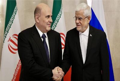  نخست وزیر روسیه با عارف دیدار کرد