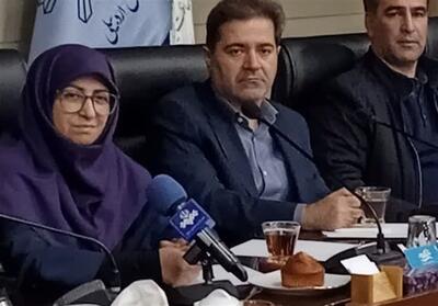  ابرچالش فرونشست در 30 استان کشور - تسنیم