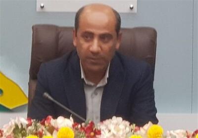  تکمیل پروژه 46 واحدی مسکن دشتی تا پایان سال - تسنیم