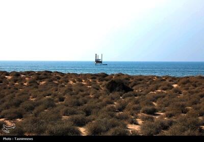  آغاز عملیات ژئوتکنیک دریایی در بندر جدید لنگه - تسنیم