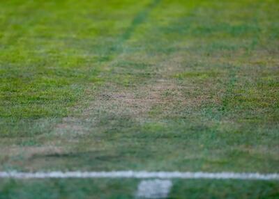  واقعیت تلخ در مورد چمن جنجالی یادگار!