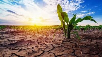  فاجعه خشکسالی در لرستان؛ ۲۸۰ میلیارد تومان خسارت، زنگ خطر برای آینده کشاورزی!