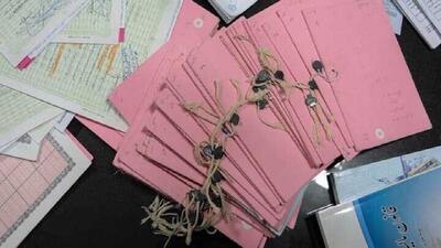  هشدار جدی در لرستان؛ خدمات دولتی به صاحبان اسناد دفترچه‌ای قطع می‌شود!