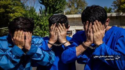  سارقان تحت تعقیب در چنگ قانون