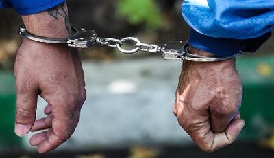  کشف پرونده سرقت مسلحانه در کمتر از چند روز با دستگیری ۲ تبعه خارجی