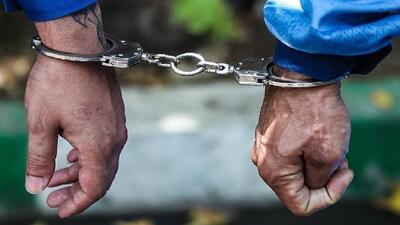  کشف پرونده سرقت مسلحانه در کمتر از چند روز با دستگیری دو تبعه خارجی