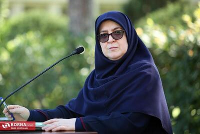  مهاجرانی: سوخت تجهیزات فنی جهت بارورسازی ابرها تامین می شود