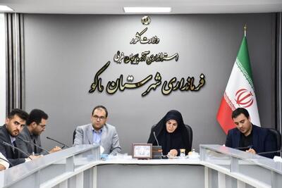  مدیرکل حوزه شورای اطلاع رسانی دولت: دولت به‌دنبال تبدیل مرز به موتور اقتصاد منطقه‌ای است