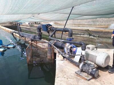  راه اندازی نخستین سامانه نانوحباب اکسیژن در قم