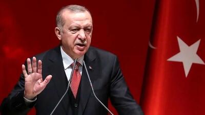  تاکید اردوغان بر احترام به مرزهای همسایگان | اقتصاد24