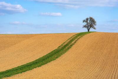  ایران پایین‌تر از گینه بیسائو، هائیتی و لبنان ایستاد/ رتبه پایین آزادی اقتصادی و محیط زیستی