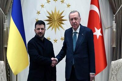  اردوغان و زلنسکی دیدار کردند