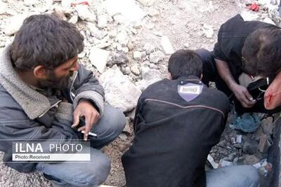  استمرار طرح‌ جمع‌آوری معتادان متجاهر