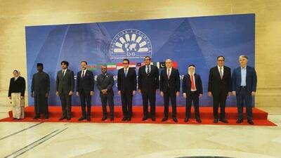  پیشنهادهای ایران به نخستین اجلاس وزیران بهداشت دی۸ در مصر