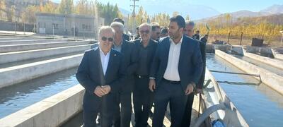  راه‌اندازی سامانه هوشمند پایش تولید کشاورزی با استفاده از هوش مصنوعی در کشور