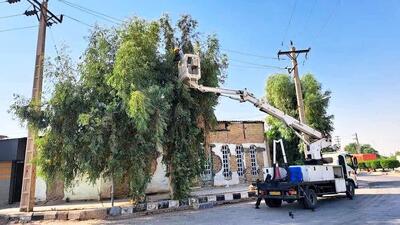  هرس بیش از ۱۲ هزار اصله درخت متداخل با شبکه برق در اهواز