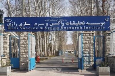  تحقیقات موسسه رازی در زمینه زهر عقرب و کاربردهای درمانی