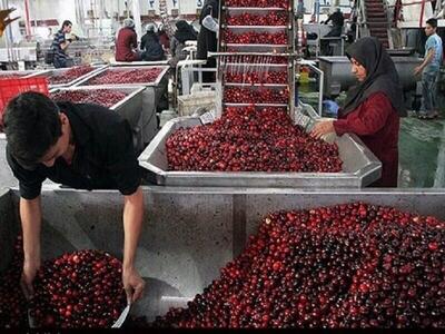  ضرورت احداث سردخانه و کارخانه صنایع تبدیلی در نهاوند