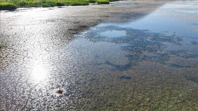  کنشگر و فعال محیط‌زیست: ایران ۱۰۰ برابر عربستان آب دارد/ با باران مشکل ما حل نمی‌شود