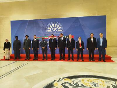  پیشنهادهای ایران به نخستین اجلاس وزیران بهداشت دی۸ در مصر