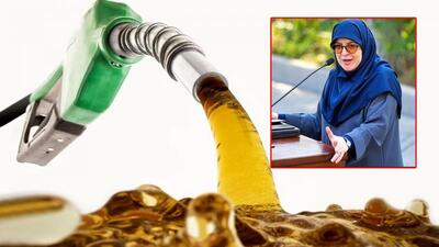  قیمت و سهمیه بنزین تعیین تکلیف شد/ سخنگوی دولت حرف آخر را زد