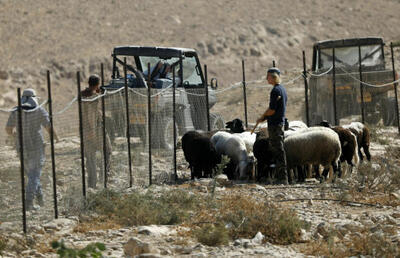  خشونت شهرک‌نشینان در کرانهٔ باختری؛ قانونِ زور حاکم است
