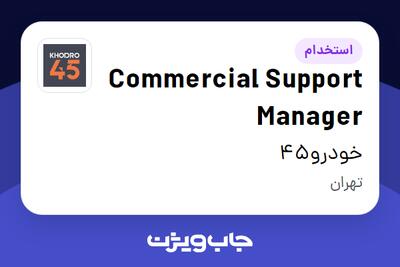  استخدام Commercial Support Manager در خودرو45
