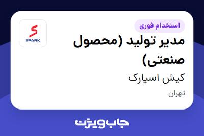 استخدام مدیر تولید (محصول صنعتی) در کیش اسپارک