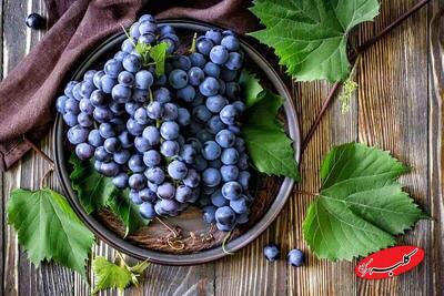  امید تازه برای توقف پیش‌دیابت با ترکیب این میوه‌ها - کلبه سرگرمی