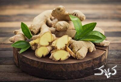  خواص درمانی زنجبیل؛ معجزه تقویت سیستم ایمنی و سلامتی بدن - مجله اینترنتی کولاک