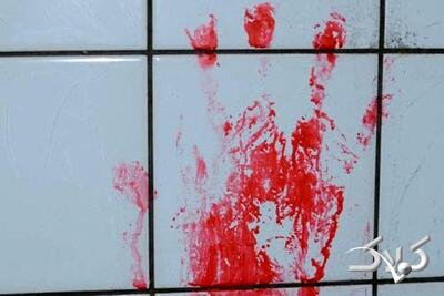  قتل مادربزرگ و عمو با ۸۵ ضربه چاقو - مجله اینترنتی کولاک