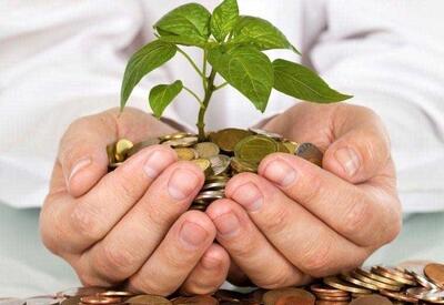  «وقف» برکت جاری در خراسان جنوبی؛ ثبت ۱۰ هزار و ۵۹۳ موقوفه در استان