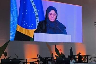  تأکید ایران در نشست COP۳۰ بر تأمین مالی اقلیم برای کشورهای درحال‌توسعه