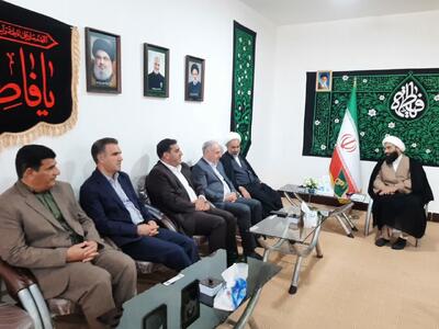  خانمحمدیان: منابع طبیعی ایلام به دنبال احداث کارخانه چوب در دهلران است