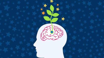  میگنا - ذهنیت رشد چیست ؟