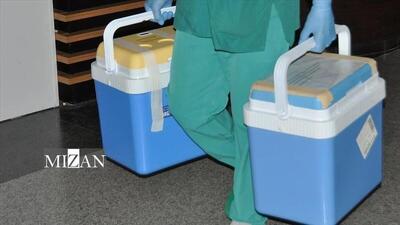  رژیم صهیونیستی؛ هسته اصلی قاچاق جهانی اعضای بدن