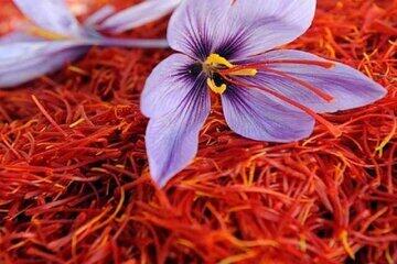  معامله ۱۹۲ کیلوگرم زعفران نگین در بازار آتی بورس کالا