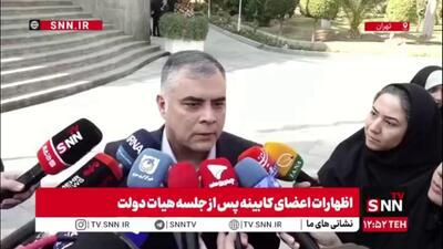  پاک‌نژاد: موضوع افزایش قیمت بنزین فراتر از ساختار تصمیم‌گیری وزارت نفت است