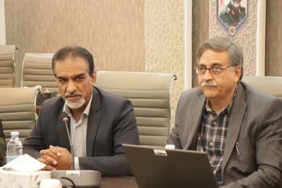  مدیرکل بهزیستی کرمان از بالا بودن آمار خودکشی در این استان خبر داد