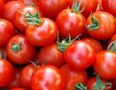  قیمت گوجه و خیار سر به فلک کشید