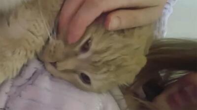  تصاویر محبوب بهنوش طباطبایی در آغوشش