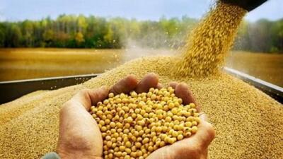  آغاز برداشت ۳۵ هزارتن سویا از مزارع استان اردبیل