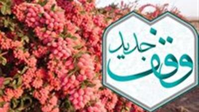  ثبت پنج وقف جدید در ایام فاطمیه در شهرستان قاینات